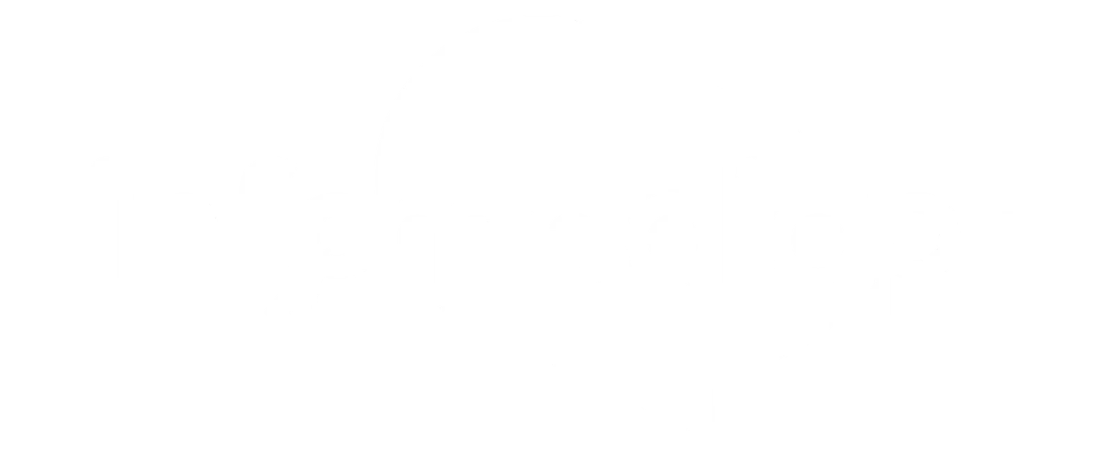 Footer Logo